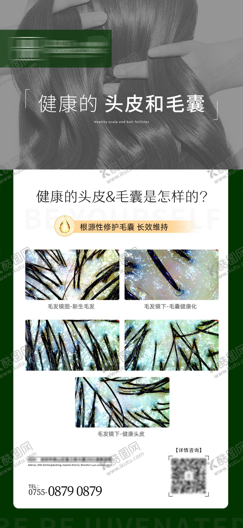编号：42235908191536355519【酷图网】源文件下载-健康的头皮和毛囊海报