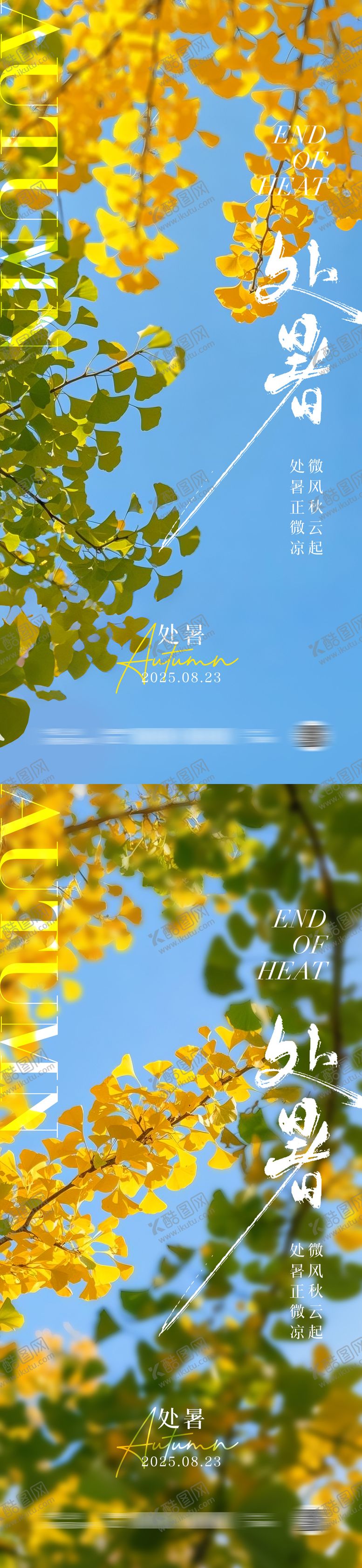 编号：83393909100905129692【酷图网】源文件下载-处暑节气银杏海报