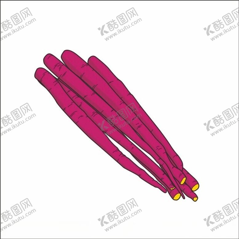 编号：58526312011950161256【酷图网】源文件下载-胡萝卜