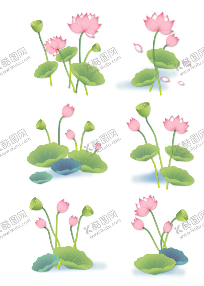 编号：30240310211403074220【酷图网】源文件下载-荷花水芙蓉荷叶荷花苞莲蓬