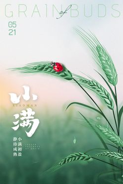 小满