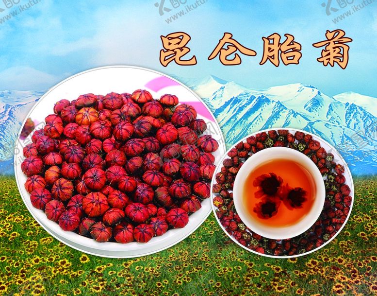 编号：44041701171435224940【酷图网】源文件下载-昆仑胎菊