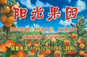阳光果园