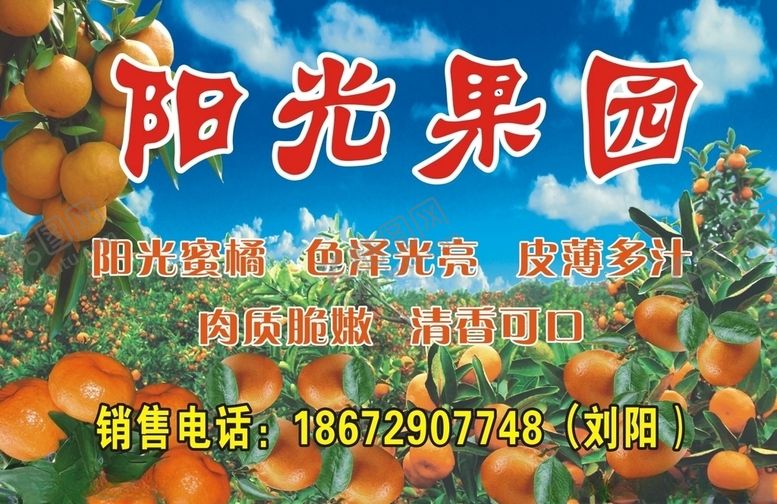 编号：53795405101620257303【酷图网】源文件下载-阳光果园