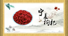 枸杞门头广告保健三七西洋参