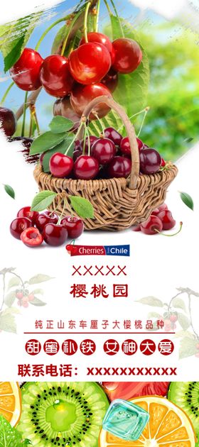 大樱桃易拉宝