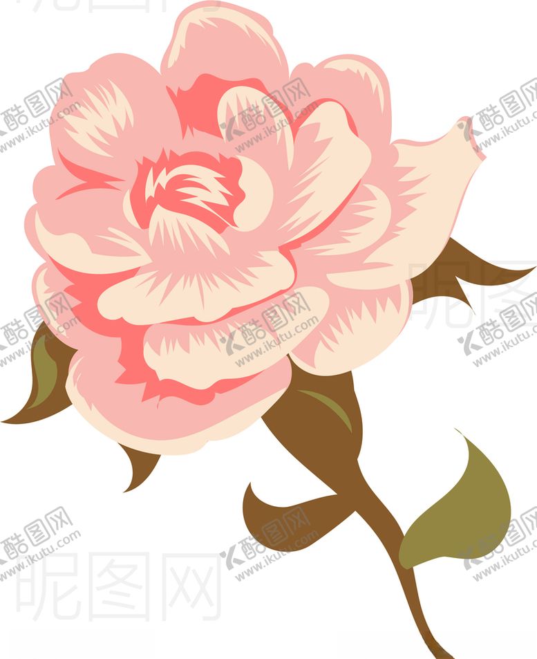 编号：59276105121402432655【酷图网】源文件下载-玫瑰花