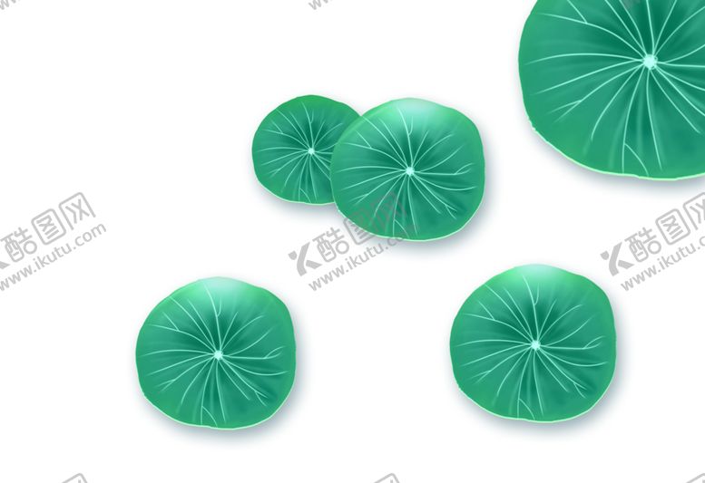 编号：26884110131222208299【酷图网】源文件下载-荷叶