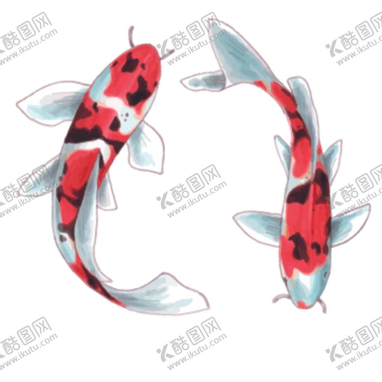 编号：46288109271949236420【酷图网】源文件下载-鲤鱼插画图案