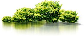 绿色森林公园元素素材