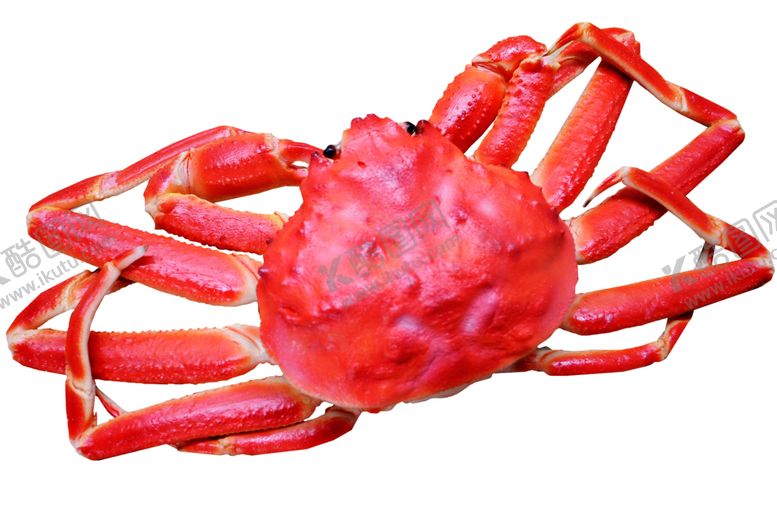 编号：17154906302000209551【酷图网】源文件下载-snowcrab雪蟹螃蟹