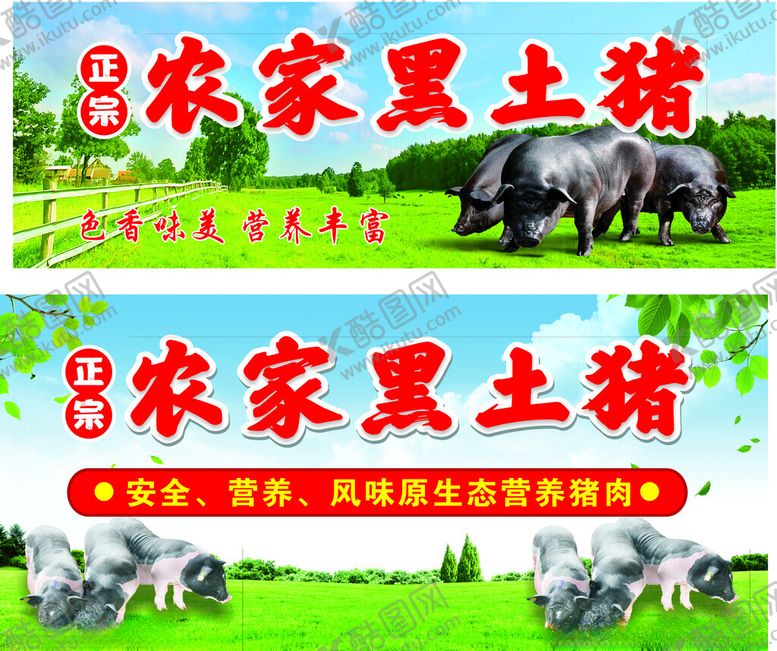 编号：20893402181408087555【酷图网】源文件下载-黑土猪