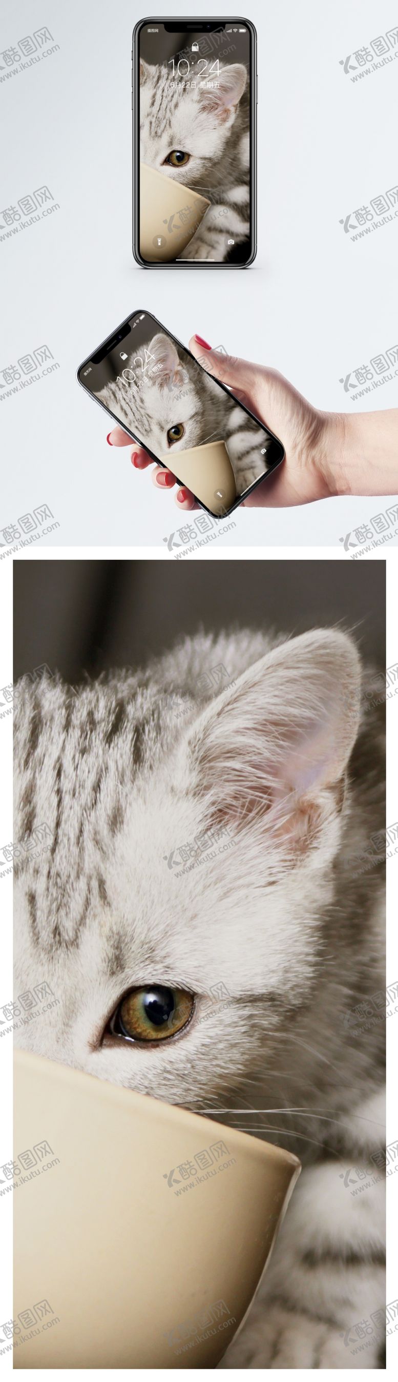 编号：38567010140209371810【酷图网】源文件下载-手机壁纸