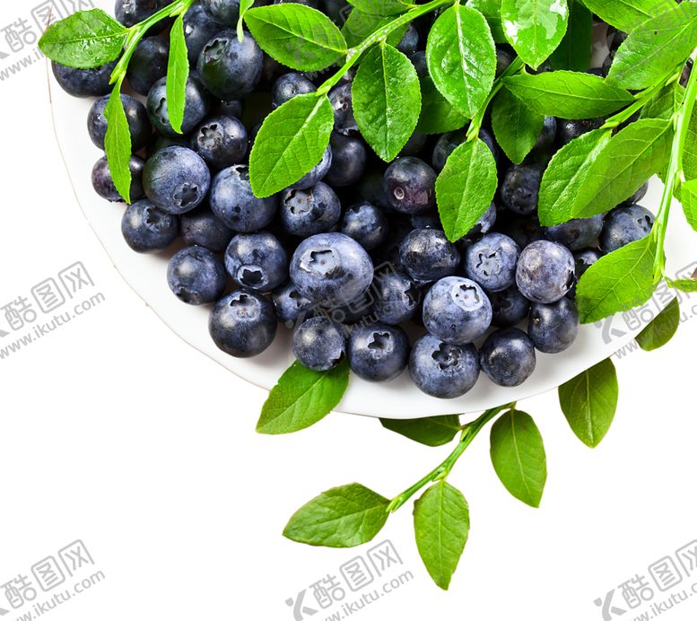 编号：32320010292045257541【酷图网】源文件下载-水果