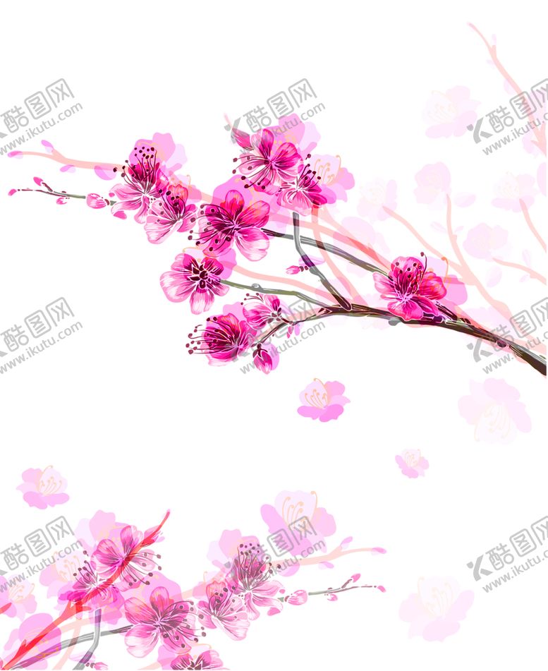 编号：31224406290628161406【酷图网】源文件下载-鲜花装饰