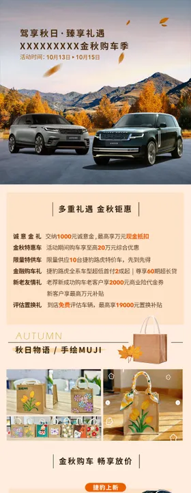 金秋购车节政策长图
