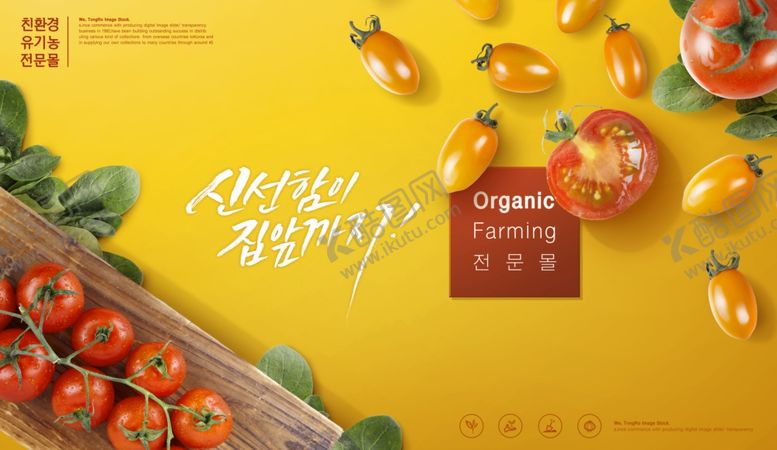 编号：60671605101818304652【酷图网】源文件下载-蔬菜海报