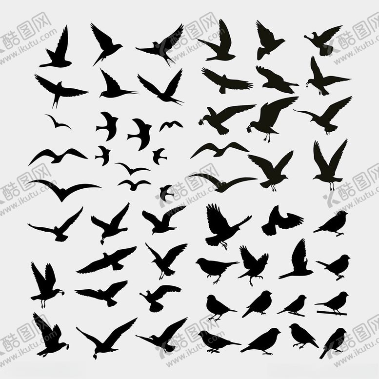 编号：21575301050019544964【酷图网】源文件下载-鸟剪影