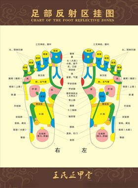 足部图