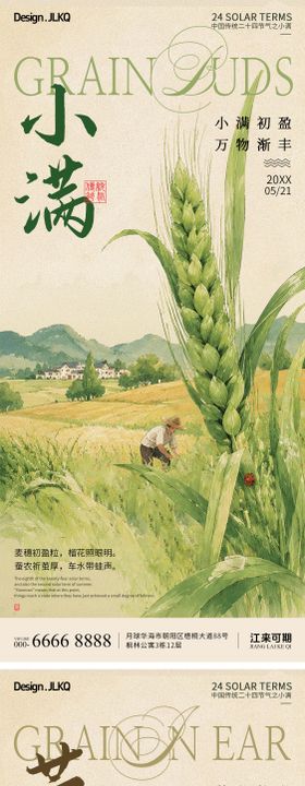 插画小满芒种宣传海报