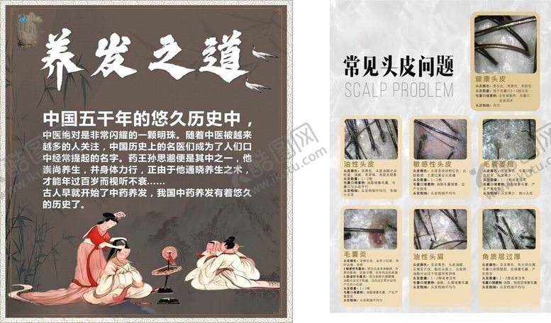 编号：34849112112043212642【酷图网】源文件下载-养发之道