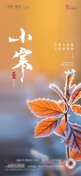 小寒节气海报