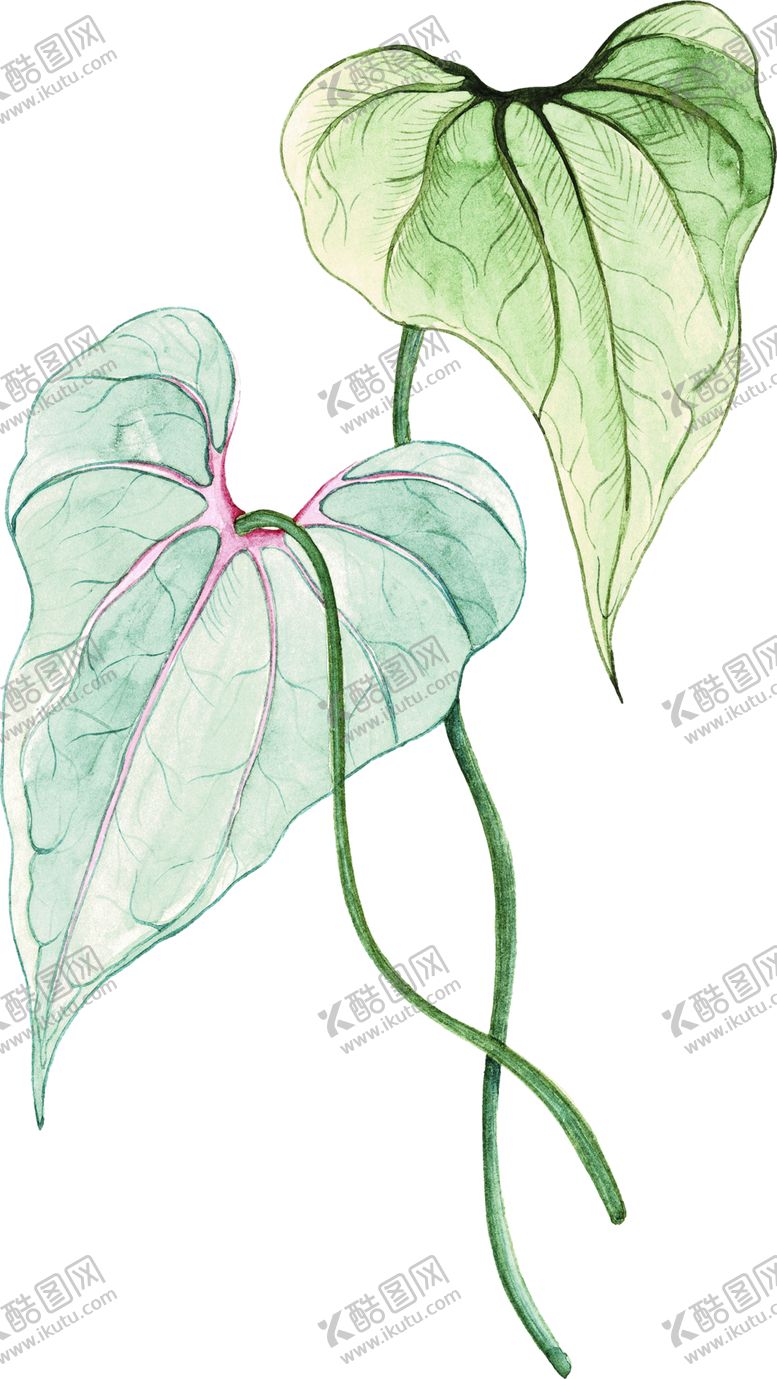 编号：20239206170919023990【酷图网】源文件下载-绿色相框