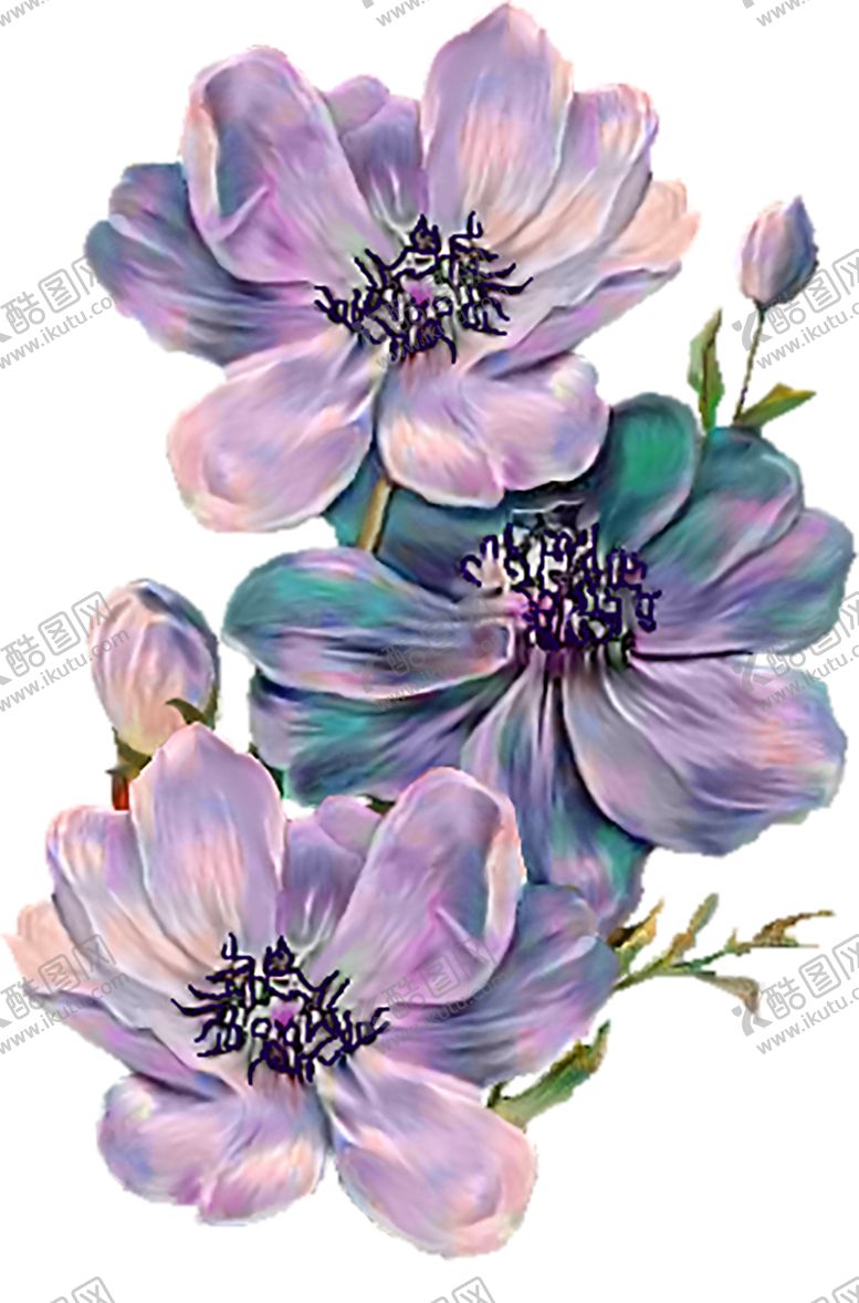 编号：42305406270954367429【酷图网】源文件下载-鲜花素材
