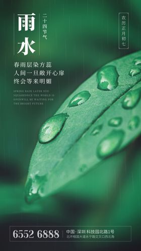 雨水立春24节气谷海报