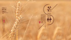 芒种海报