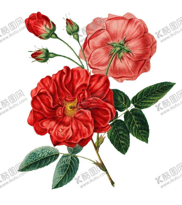 编号：30944707020819442762【酷图网】源文件下载-复古鲜花主题装饰图案