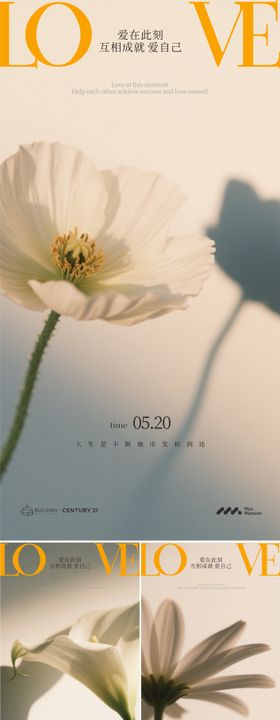 520花朵系列海报