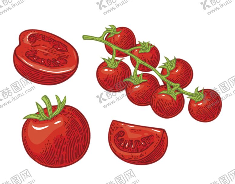 编号：69176910300523398040【酷图网】源文件下载-水果