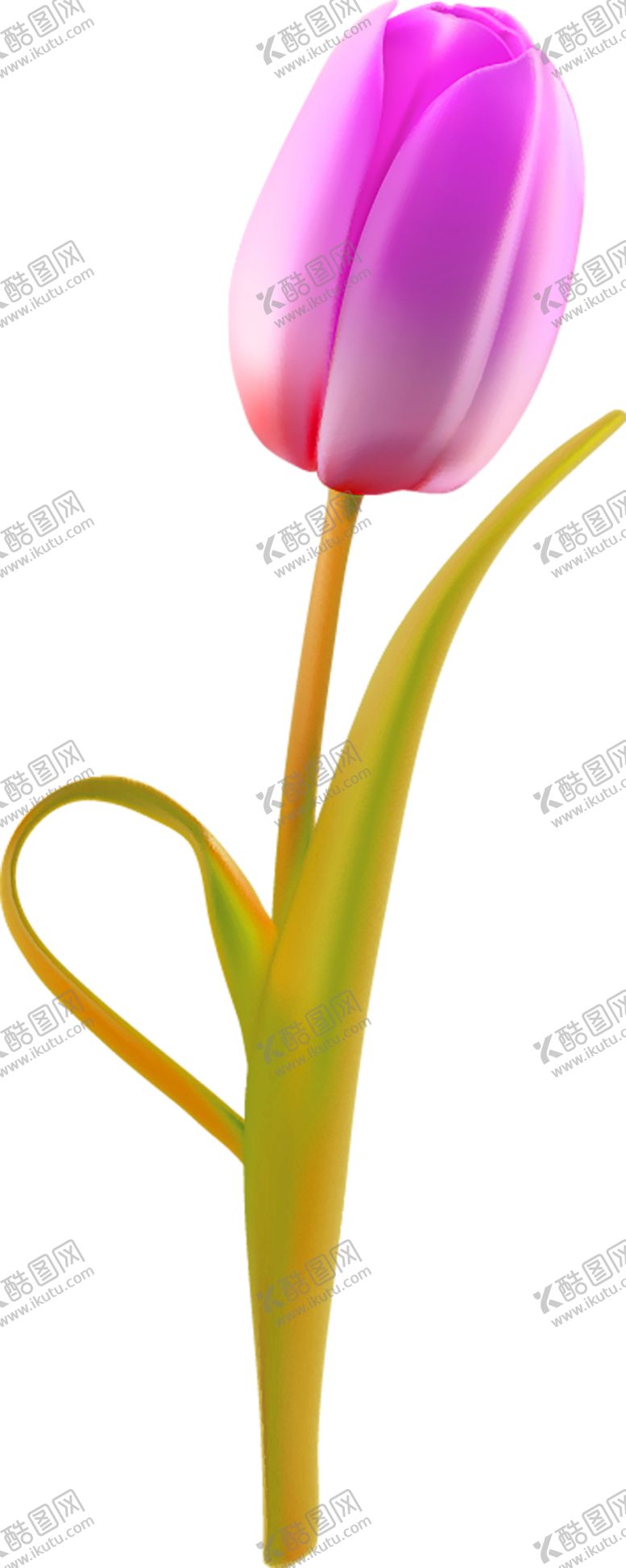 编号：80772410201803532809【酷图网】源文件下载-鲜花素材