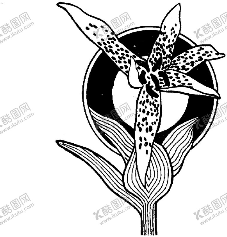 编号：98183506170033405378【酷图网】源文件下载-花纹边框