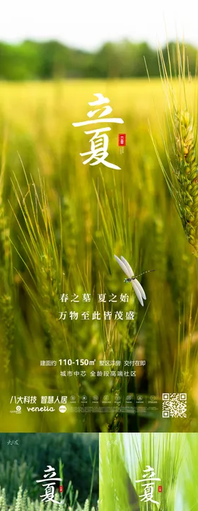 立夏海报二十四节气麦子地产天