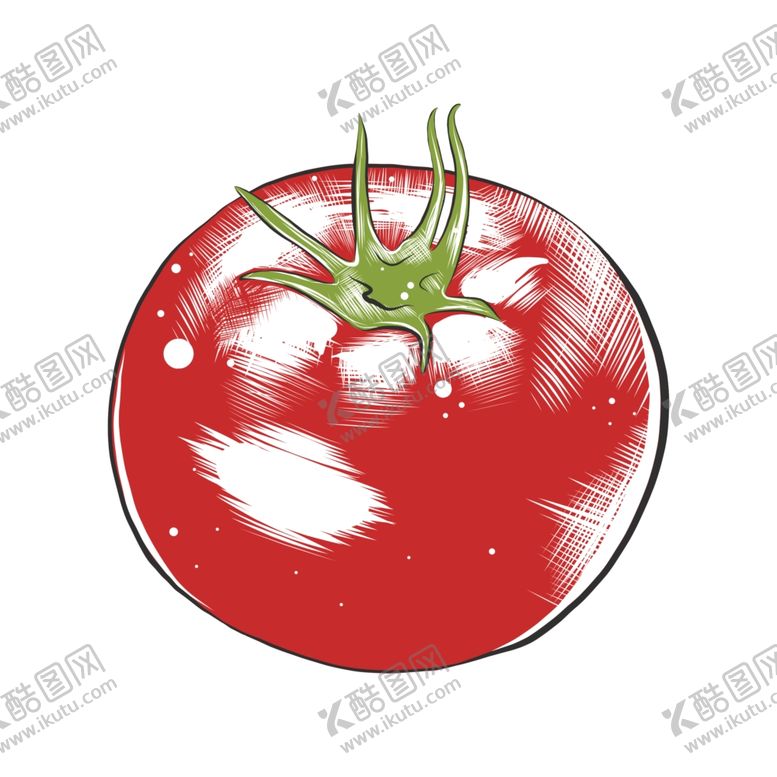 编号：95106309300544318631【酷图网】源文件下载-彩色素描蔬菜