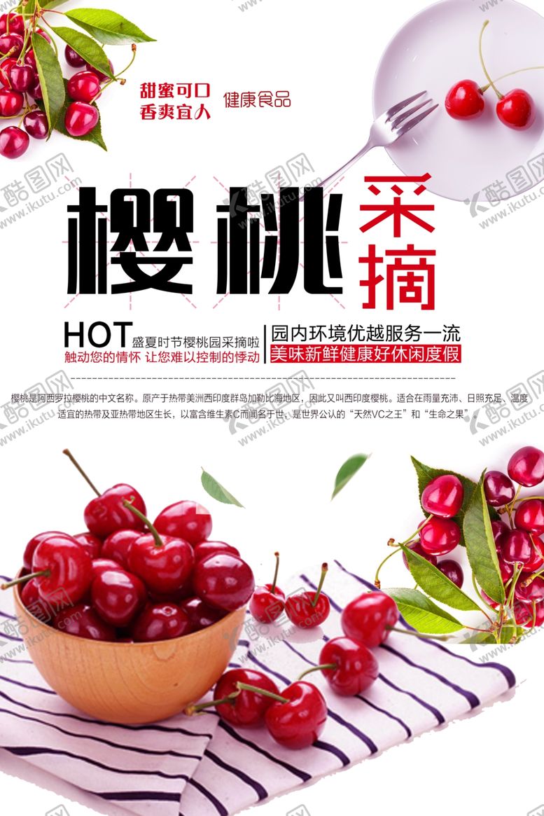 编号：70108501260140164463【酷图网】源文件下载-樱桃采摘