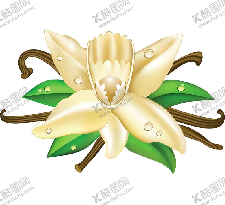 编号：40974007091558508674【酷图网】源文件下载-鲜花素材