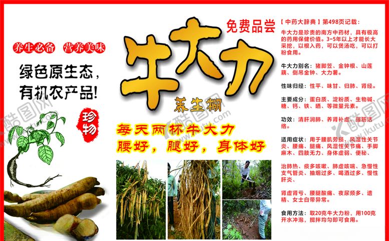 编号：74734910091222392093【酷图网】源文件下载-牛大力