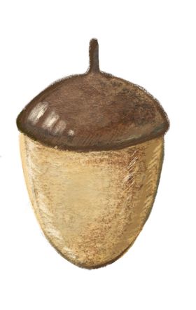 圣诞主题卡通元素