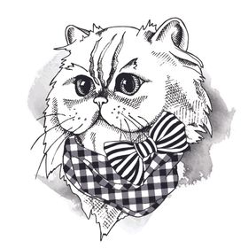 手绘卡通猫