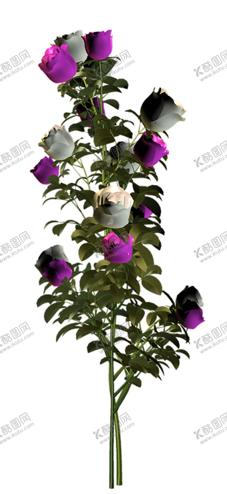 编号：58705307020239586711【酷图网】源文件下载-鲜花素材