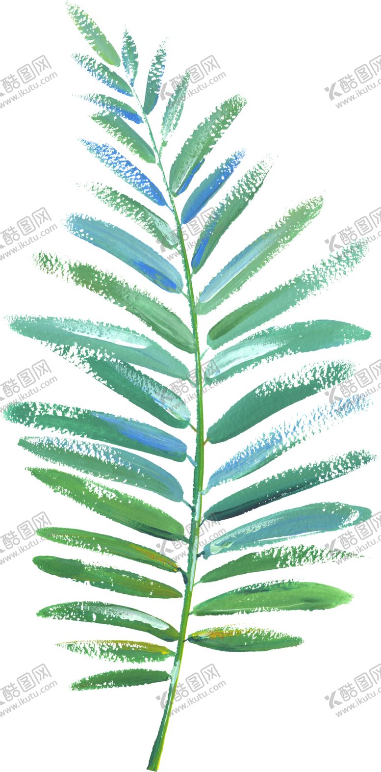 编号：71929105021455004760【酷图网】源文件下载-水彩手绘花卉花朵植物