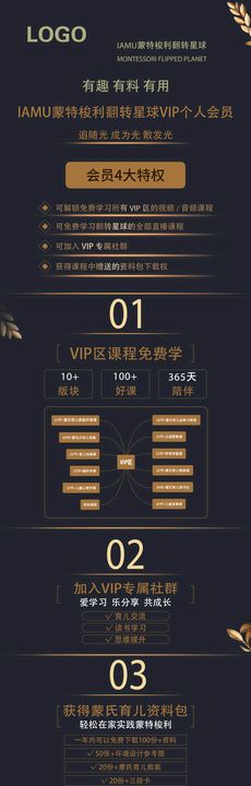 vip权益黑金长图