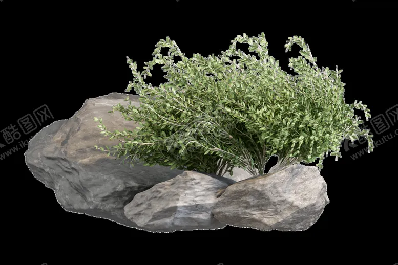 编号：29105709121352004910【酷图网】源文件下载-免扣植物素材图片花草免扣