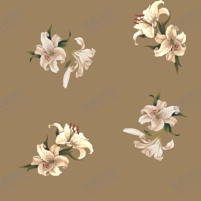 编号：50570009261014299406【酷图网】源文件下载-水仙花