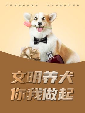 文明 养犬 从 我 做 起