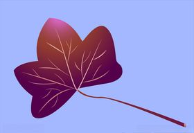 树叶