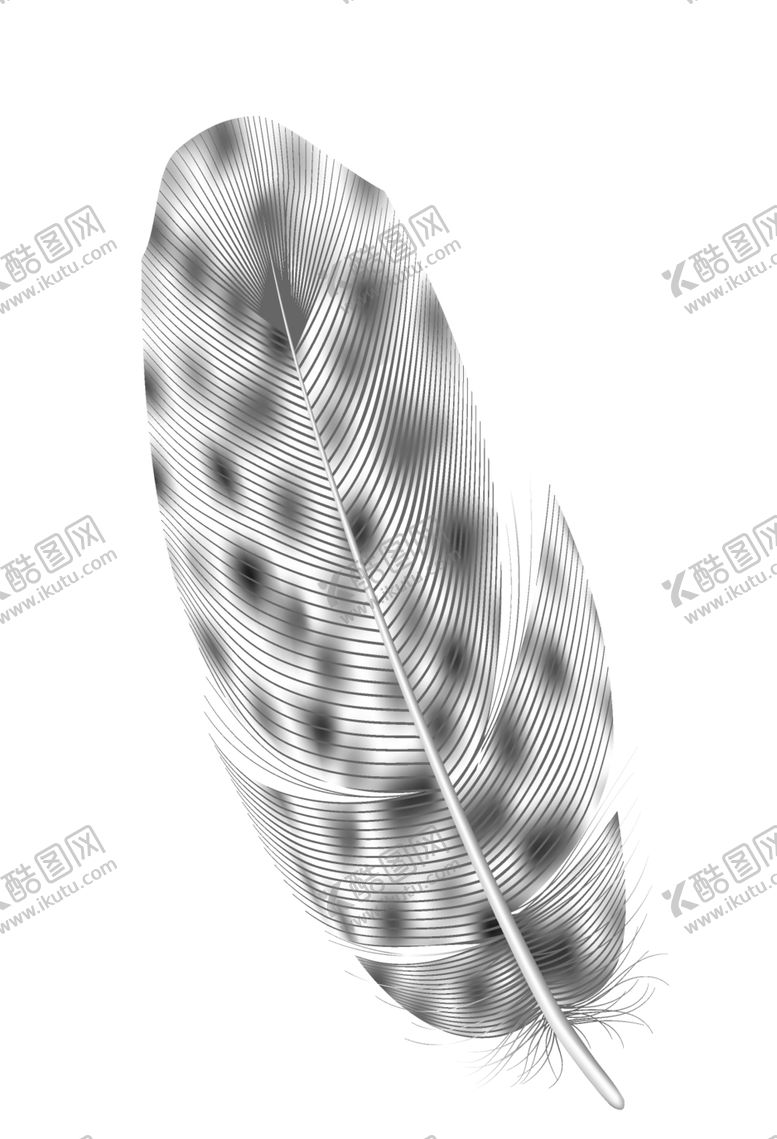 编号：19639202171059177300【酷图网】源文件下载-羽毛 素材